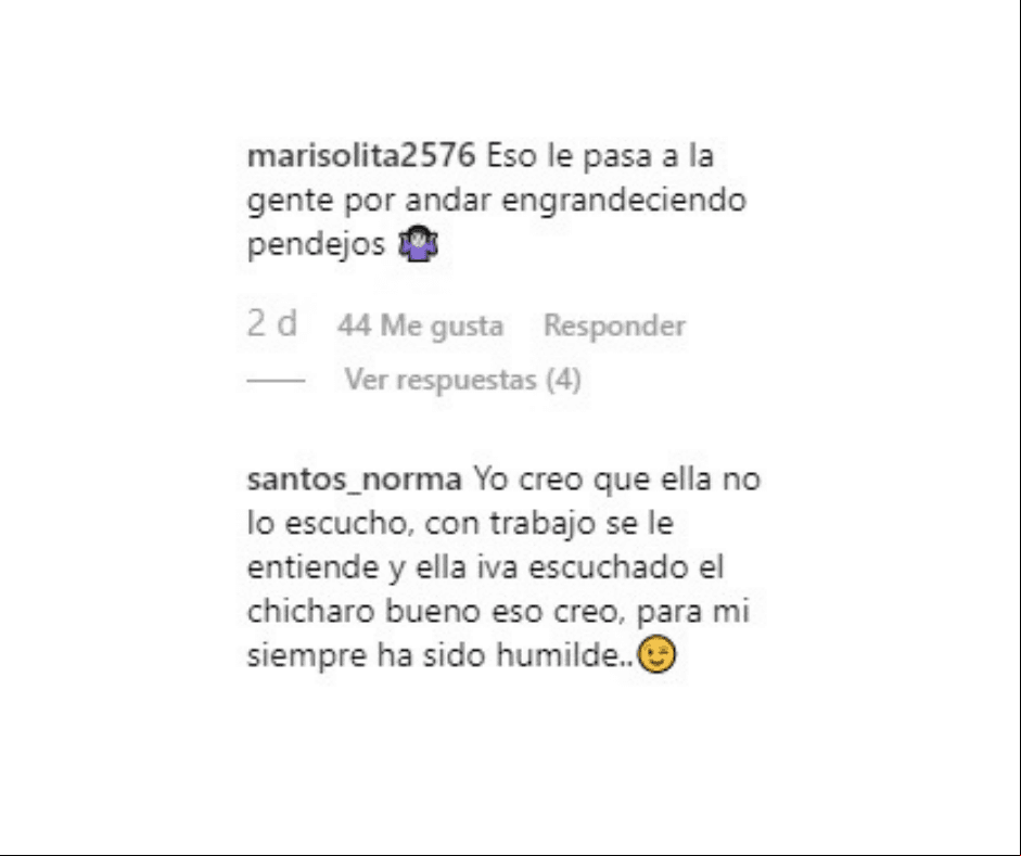 La periodista Nelssie Carrillo compartío el video del fan.