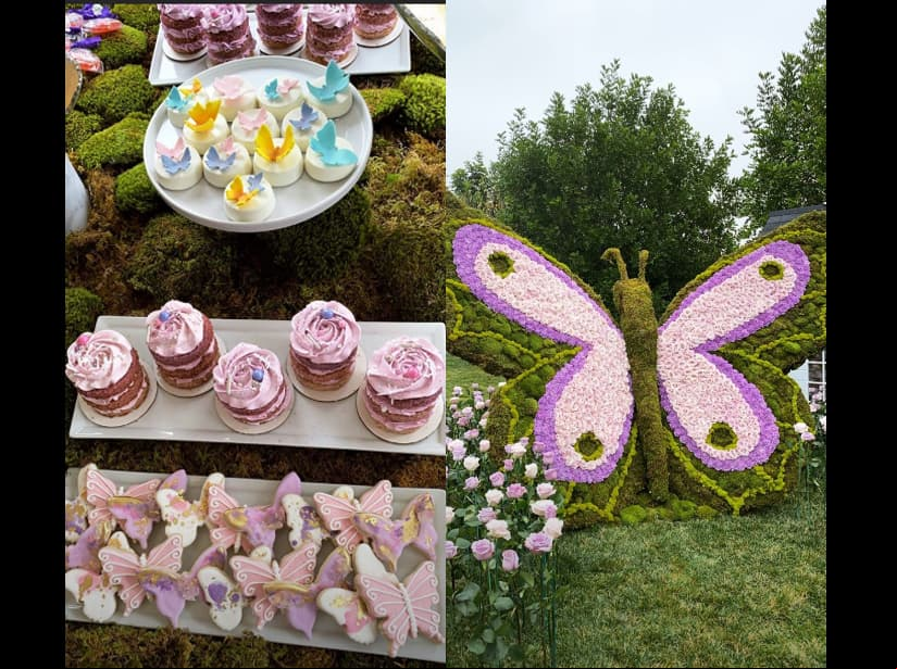 En esta ocasión, la empresaria eligió como temática las mariposas, símbolo que la ha acompañado desde hace mucho tiempo, por ello el patio de su mansión estuvo decorado con este insecto en diferentes presentaciones.
