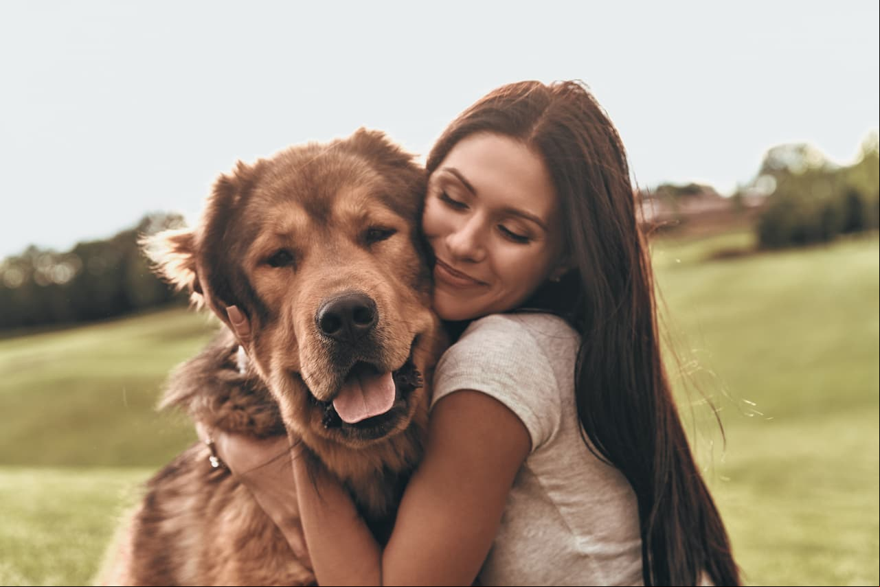 Depresión. Gracias a su fidelidad, los perros son una fuente infalible e inagotable de amor. Ellos nunca dejarán que sus dueños estén tristes.