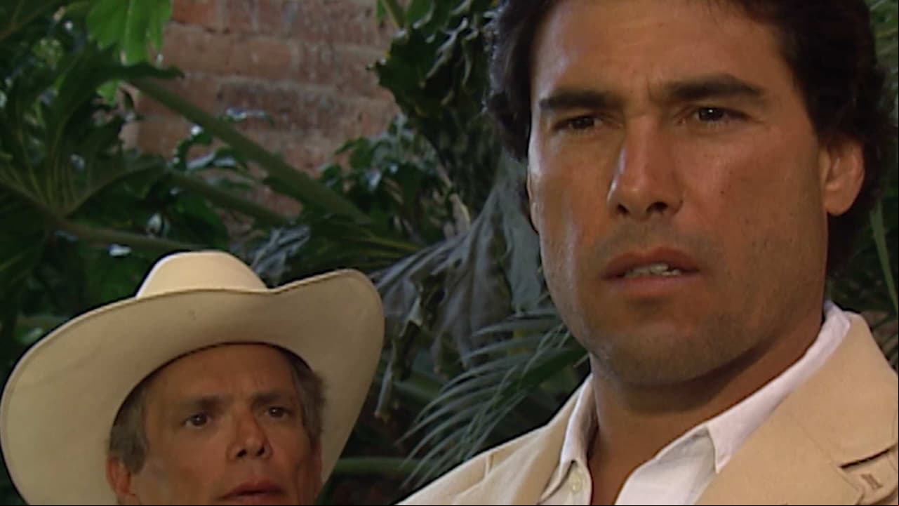 Resumen Capítulo 4: Rodrigo busca a Gaviota