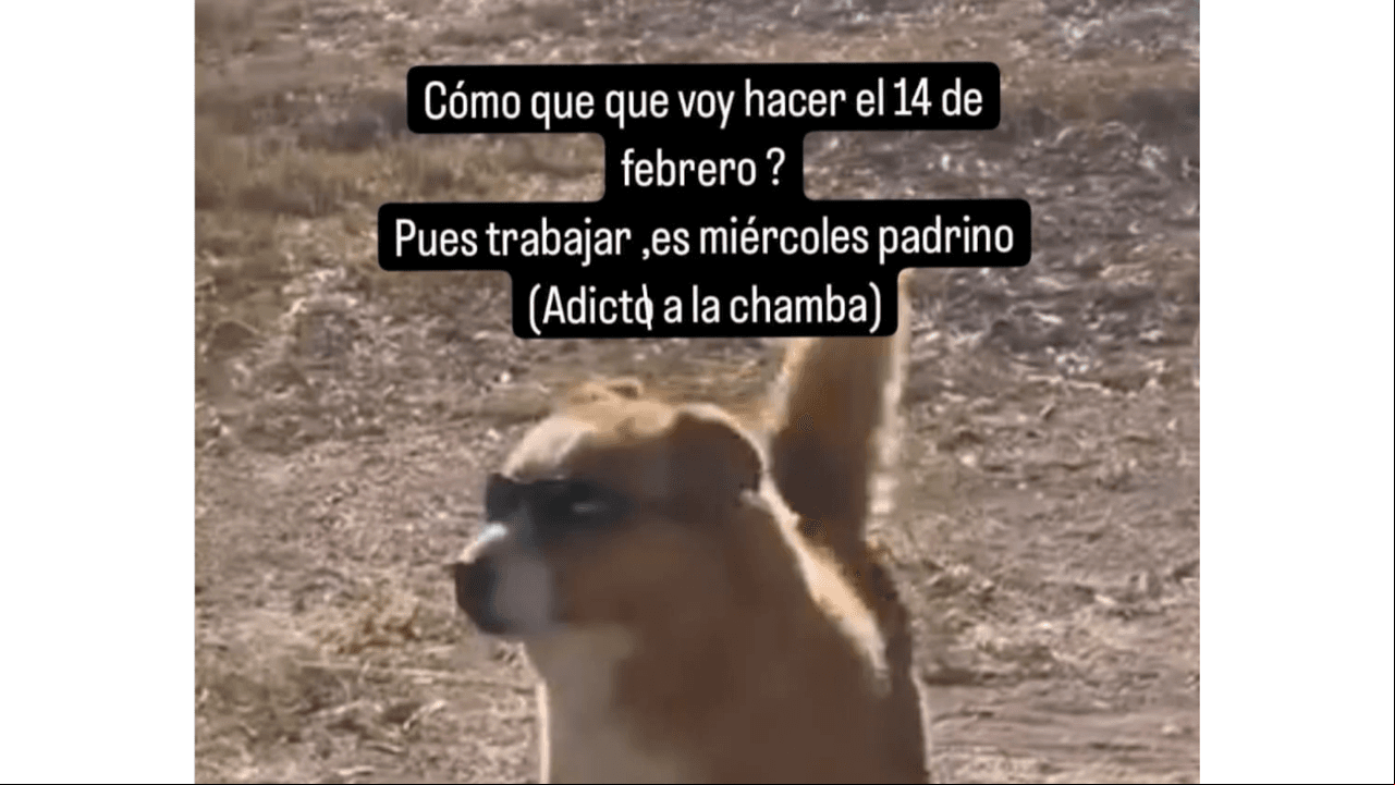 Memes del Día de San Valentín (14 de febrero)