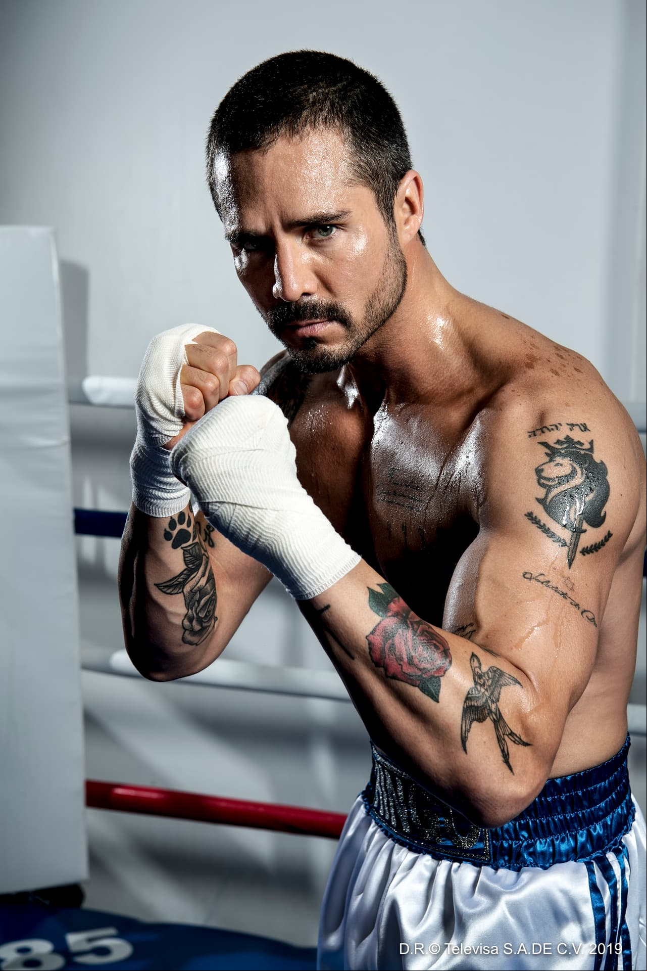 José Ron gana como ‘Mejor actor’ en Premios TVyNovelas por Ringo