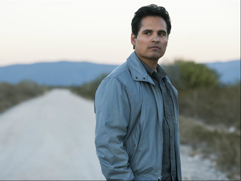 Michael Peña interpretará a un agente encubierto de la DEA, quien obtuvo información valiosa a través de una serie de informantes cercanos a Félix (Diego Luna).