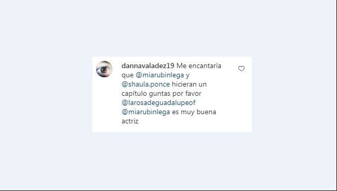 Comentario a La Rosa de Guadalupe