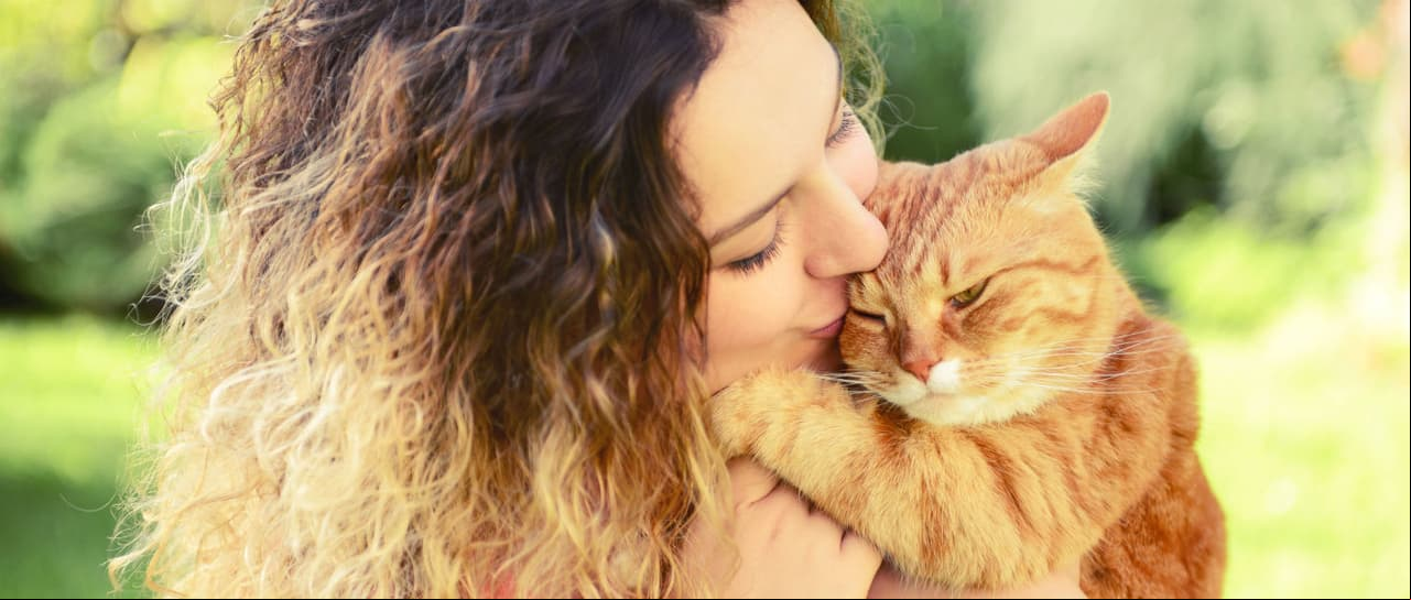 Un gato es el mejor protector del hogar y la familia