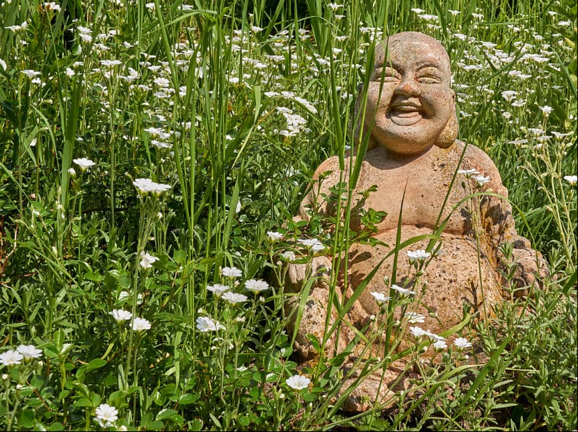 Una figura de Buda sonriente atrae la felicidad y la riqueza espiritual, así como la material. Colocarlo en el sector oeste sirve para otorgar salud y riqueza a los hijos.