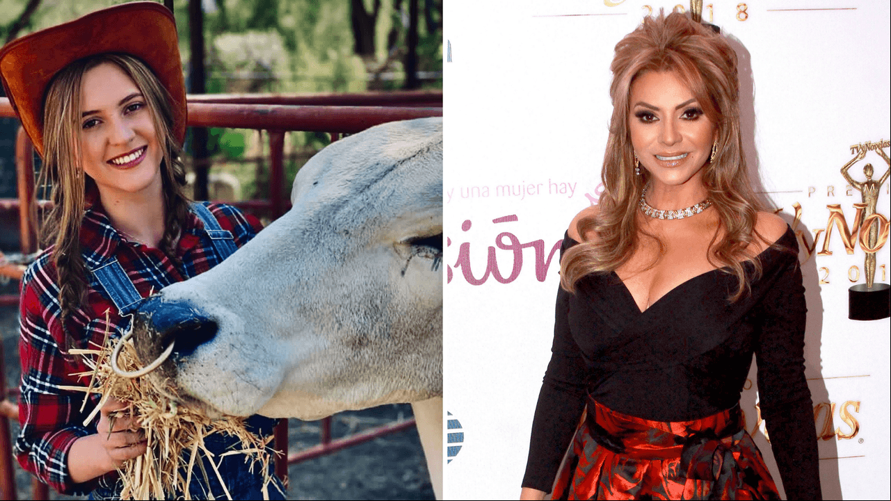 Como una de las villanas de telenovela preferidas de la televisión mexicana, Daniela Castro se ha consolidado como una gran actriz. Ahora, su hija Danka, de 17 años, está lista para seguir sus pasos.