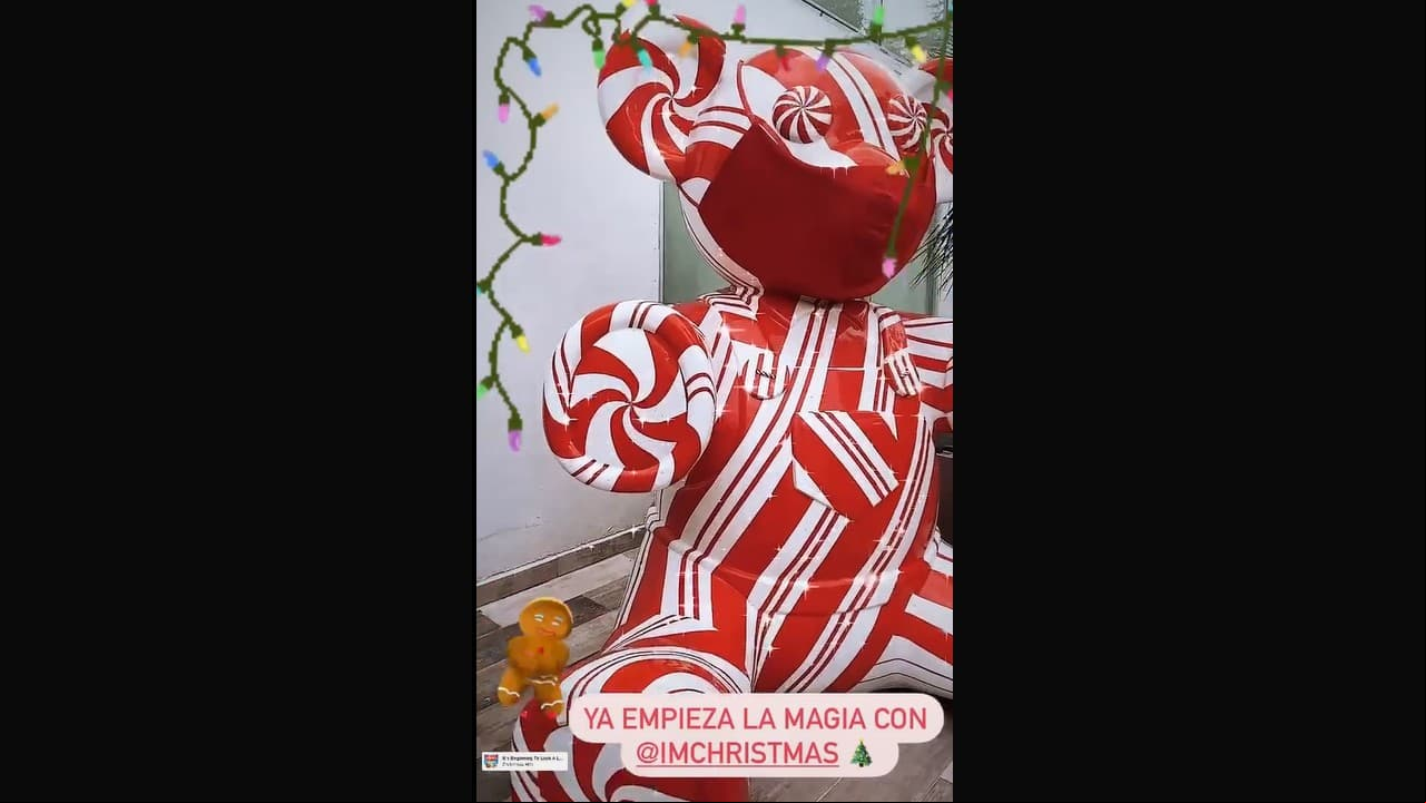 Andrea Legarreta muestra la decoración navideña de su hogar