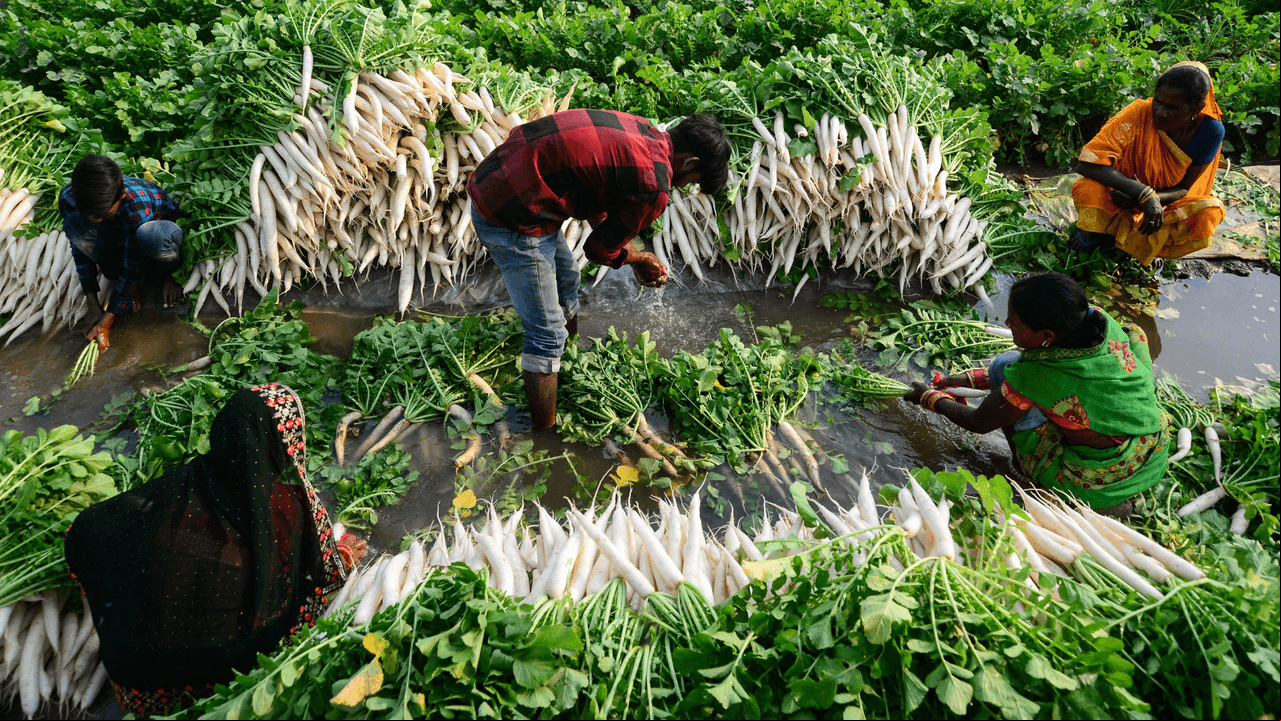 Agricultura