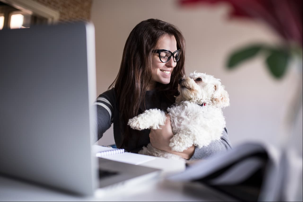 Reducen el estrés. Acariciar a la mascota ayuda a reducir los sentimientos de estrés, ansiedad y depresión, razón por la que el experto recomienda jugar, pasear e incluso hablar con las mascotas para despejar la mente.
