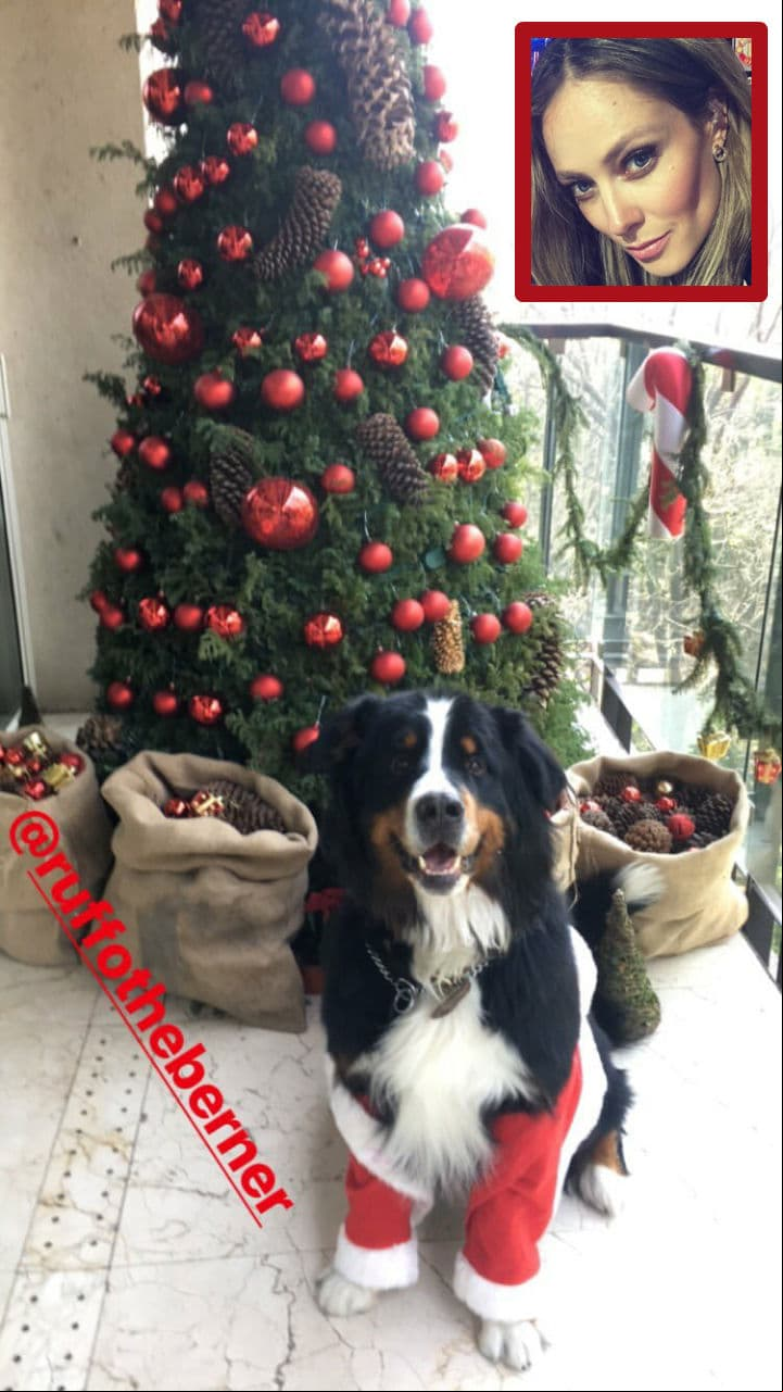 Vanessa Huppenkothen comparte su espíritu navideño con su mascota. Foto: Instagram
