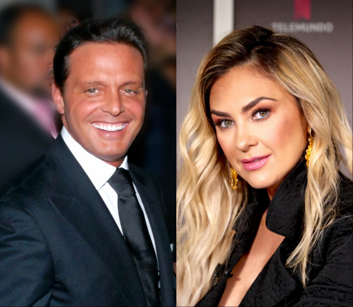 En el 2005, previo a su reencuentro con su hija Michelle Salas, Luis Miguel conoció a Aracely Arámbula, mujer que se convertiría en la madre de sus dos hijos, Daniel y Miguel. En aquel entonces, la pareja se dejó ver paseando por Venecia, iniciando una relación que fue tan acelerada como intensa. Para el 2009, la pareja se había convertido en padres de dos bebés, pero su relación terminó por disolverse. La actriz regresó a México para seguir trabajando y hasta el momento se sabe que no mantienen una buena relación, dado que el intérprete ha sido un padre ausente para los pequeños. 
<br>