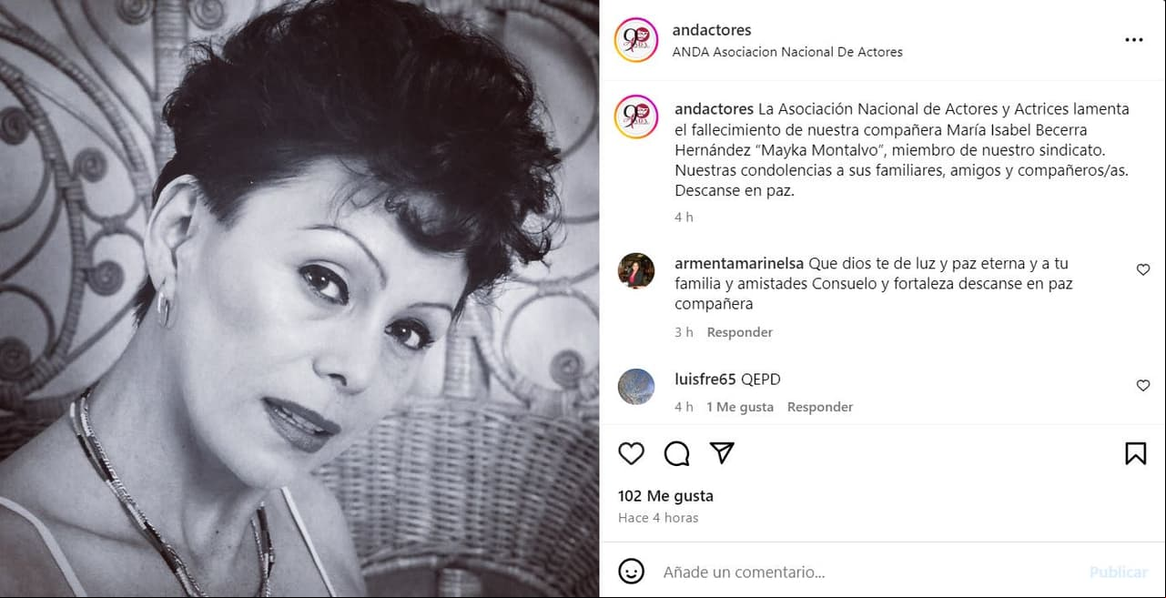 Captura Instagram ANDA
