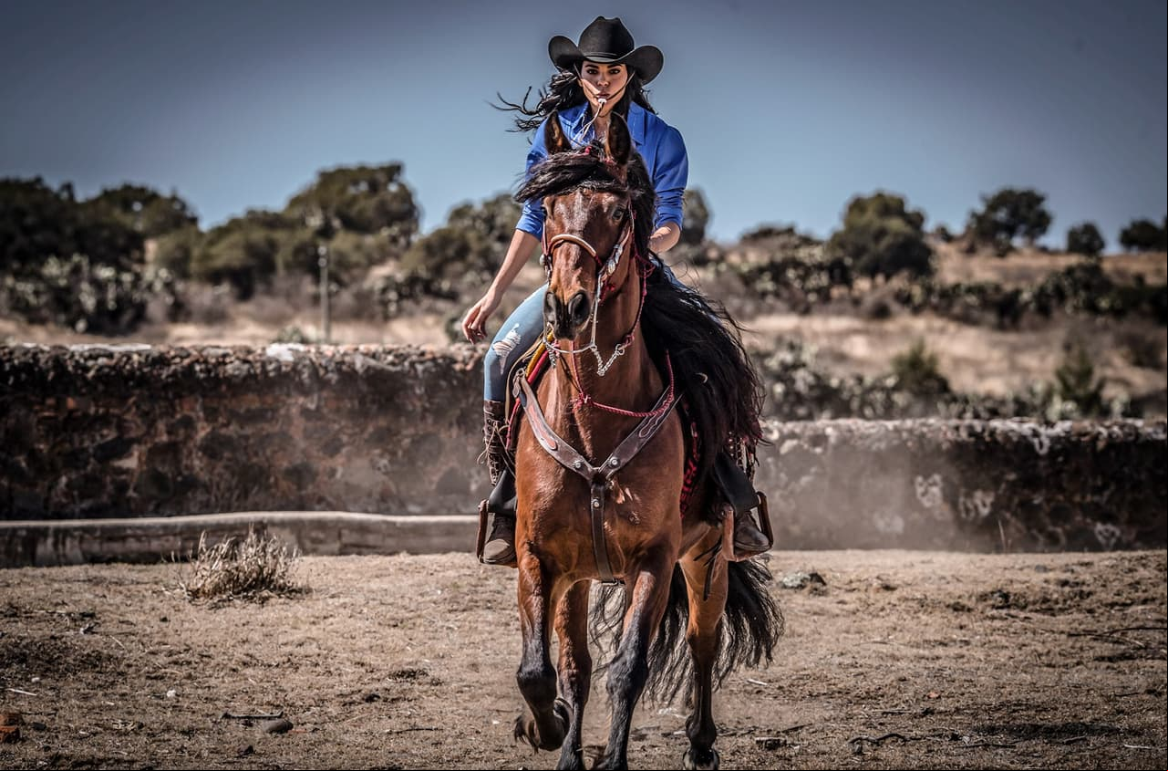 De La Desalmada a Amor Real, las telenovelas que enaltecen los bellos paisajes de México
