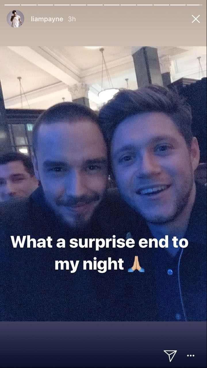 Liam y Niall protagonizaron un emotivo reencuentro
