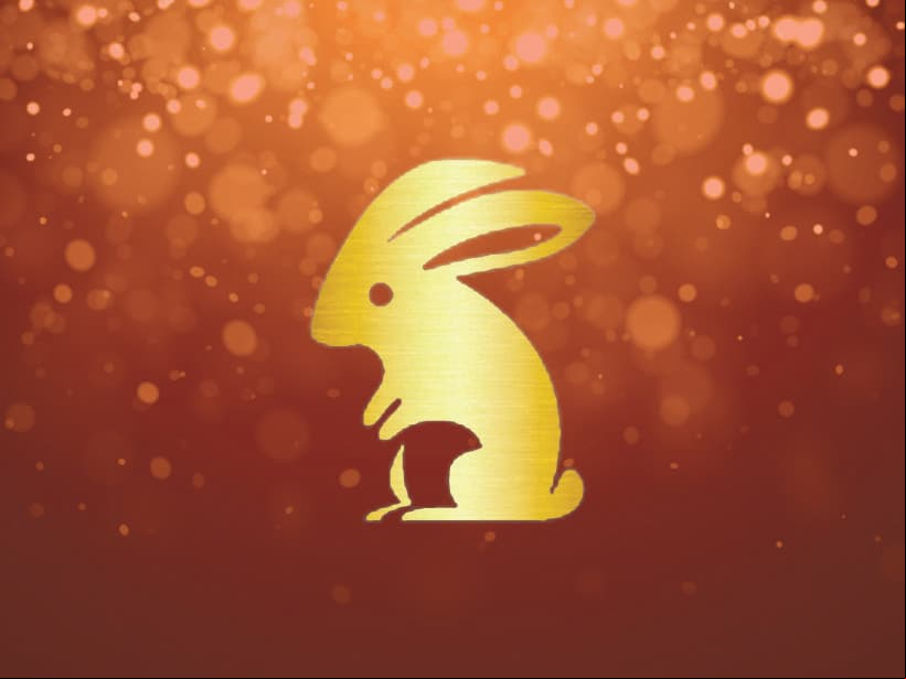 <b>CONEJO</b>
<br>1915, 1927, 1939, 1951, 1963, 1975, 1987, 1999 y 2011 
<br>Amables, considerados,compasivos, sofisticados y leales. La Coneja es atractiva, reservada, encantadora y de corazón suave y puro. El Conejo es cortés e íntegro. Una vez que encuentran a la persona adecuada para ellos y que les devuelve su amor, darán todo. 
<br>
<b>Carrera:</b> Arte, música, actor, trabajo social, diplomático, abogado 
<br>
<b>Romance: </b>Cariñoso y seguro de sí mismo 
<br>
<b>Compatibilidad: </b>Cabra y Cerdo 
<br>
<b>Amigo Secreto: </b>Perro 
<br>
<b>Animal en Conflicto:</b> Gallo