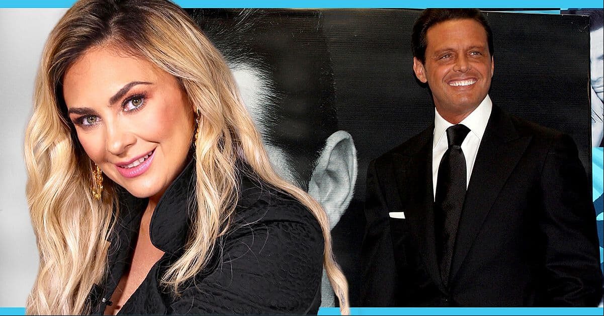 ¿Aracely Arámbula interpuso una demanda contra Luis Miguel? Esto se sabe