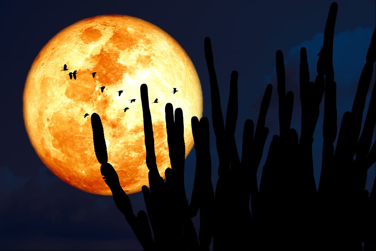 ¿Qué es un Eclipse de Sangre?
