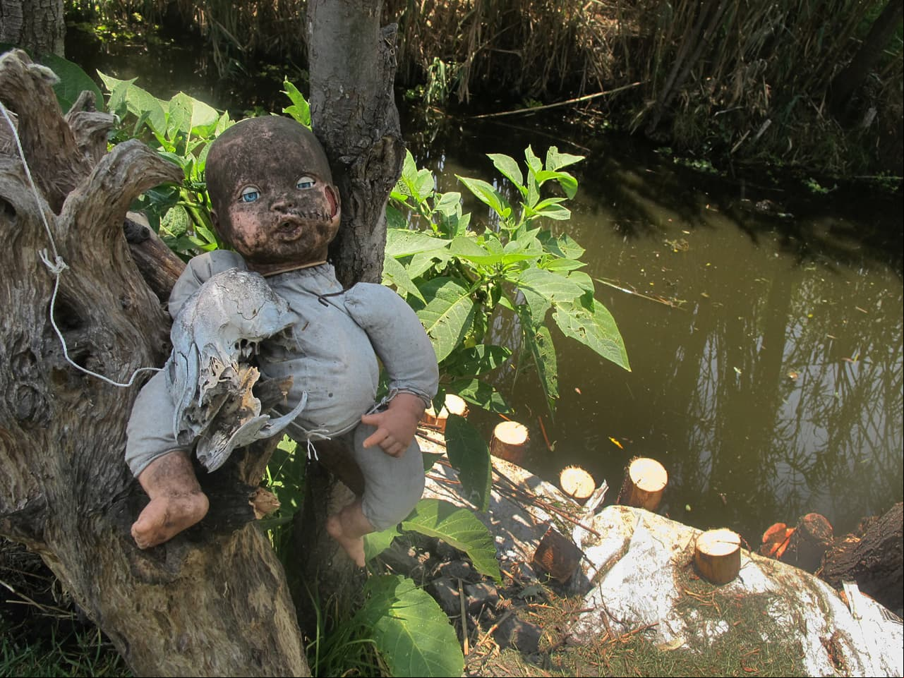Se dice que en Xochimilco hay un lugar donde las muñecas cobran vida