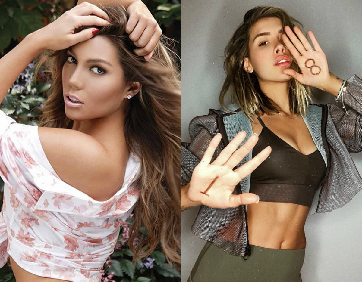 El más reciente, el que desató a finales de febrero los comentarios de Frida Sofía hacia su sobrina Michelle Salas en redes sociales, donde la llamó falsa, la acusó de mantener una relación con el manager de Luis Miguel y dijo que la unión de la familia Pinal es una farsa, pues sólo conviven en Navidad.