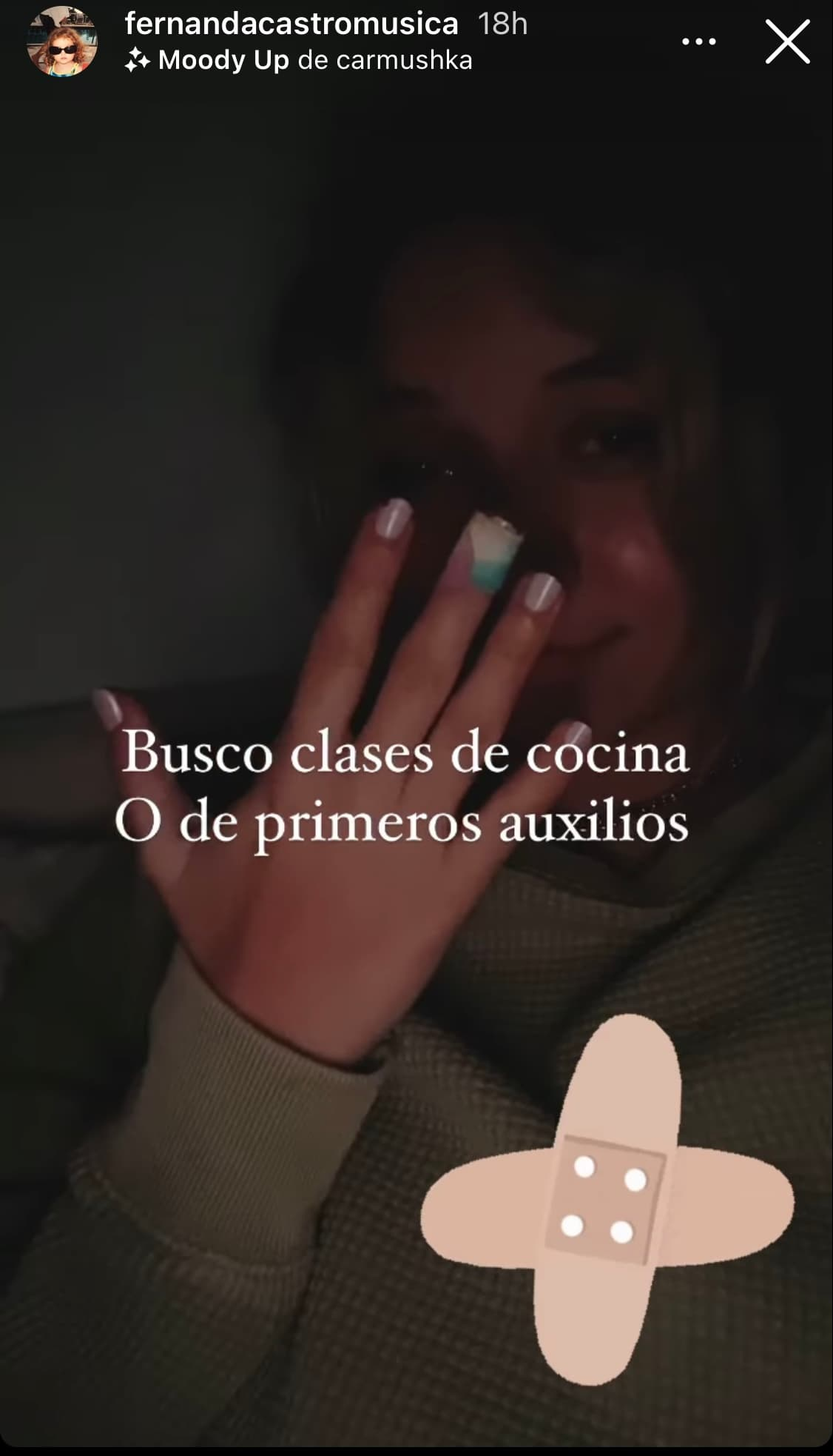 Fernanda Castro sufrió un accidente en la cocina.