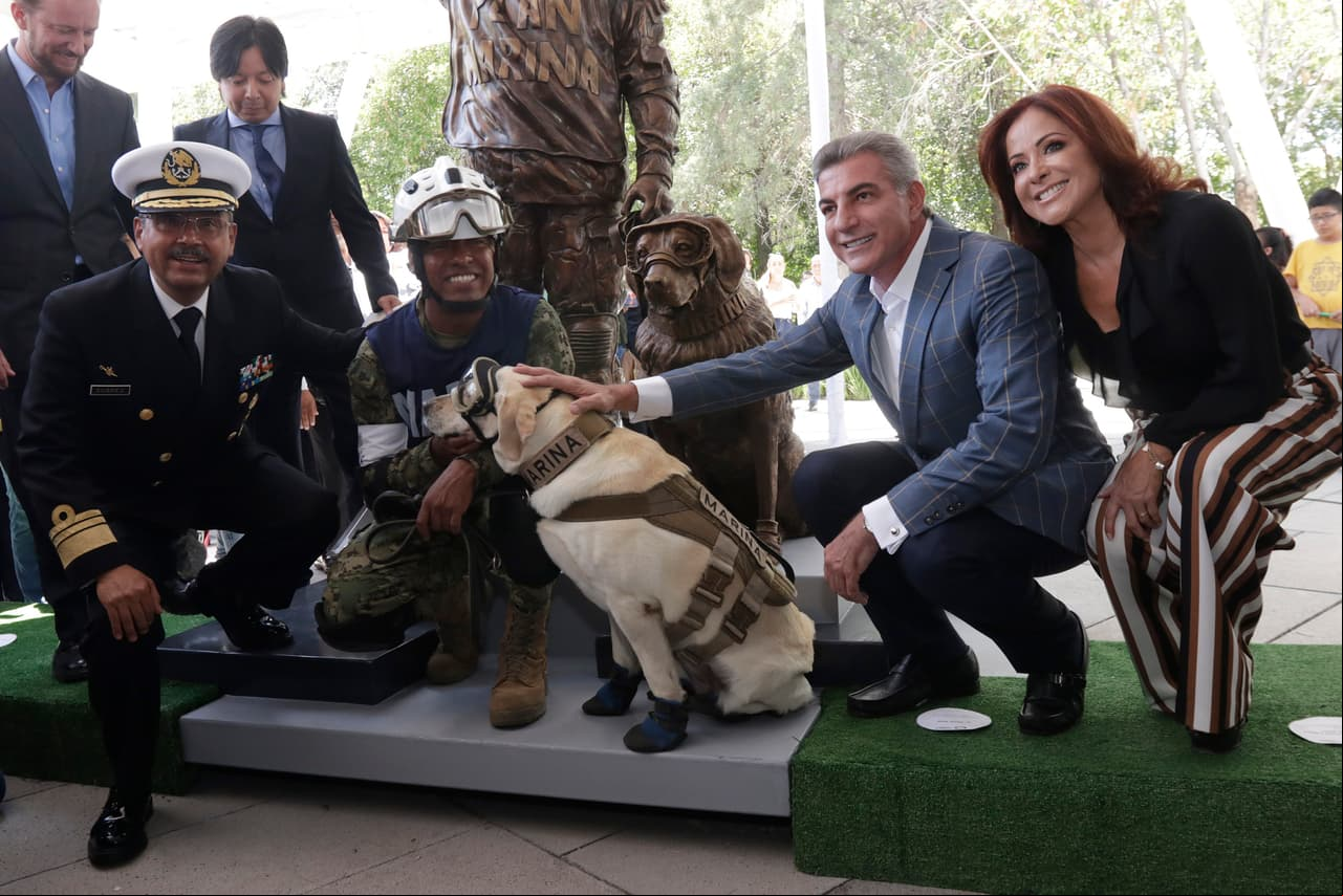Frida, la perrita rescatista, ya tiene su estatua