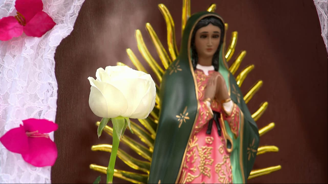 ESTE JUEVES: ¡Conéctate al Facebook Live de La Rosa de Guadalupe, viendo el capítulo del día!