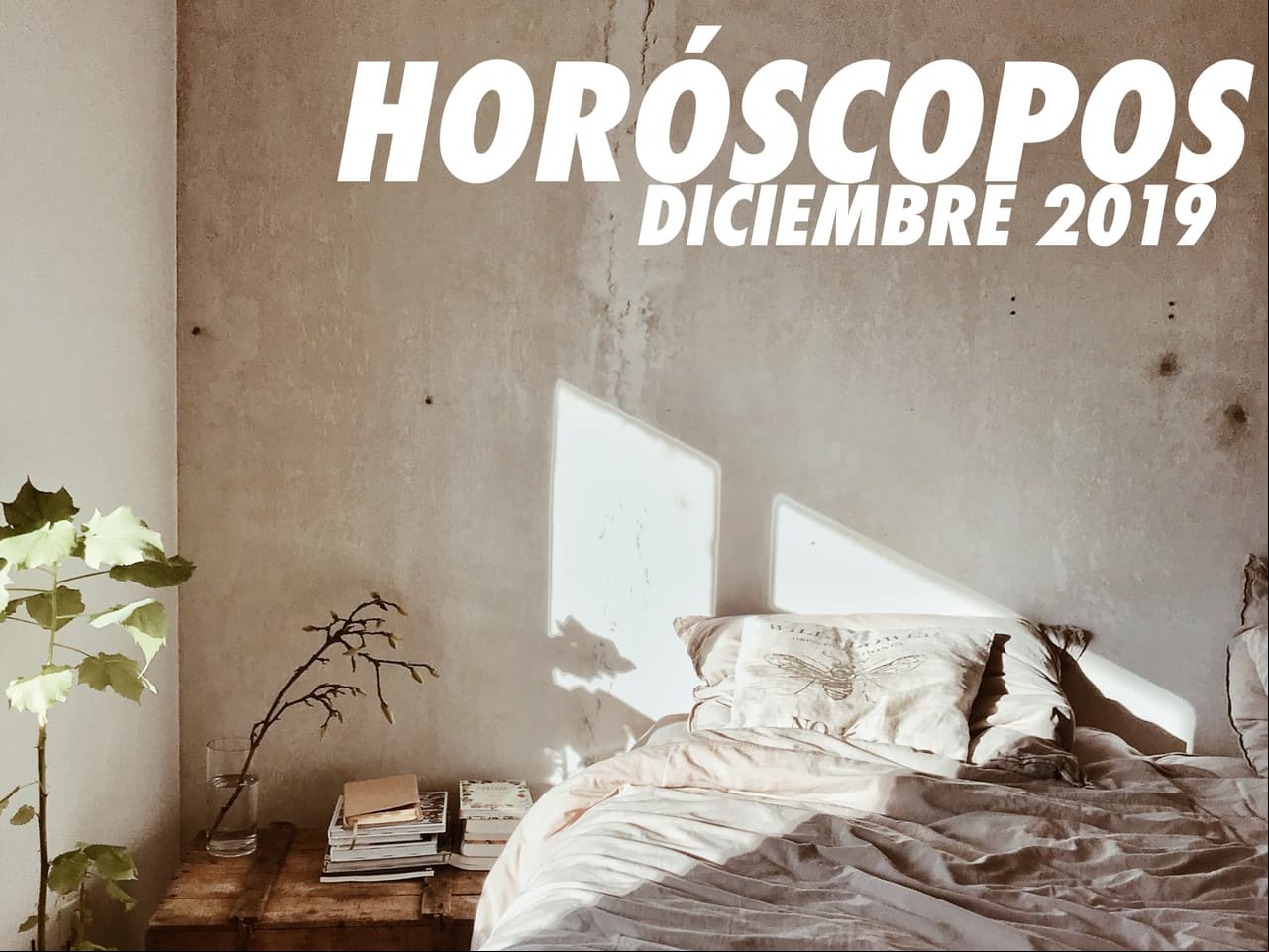 Estas son las predicciones de diciembre para cada signo zodiacal