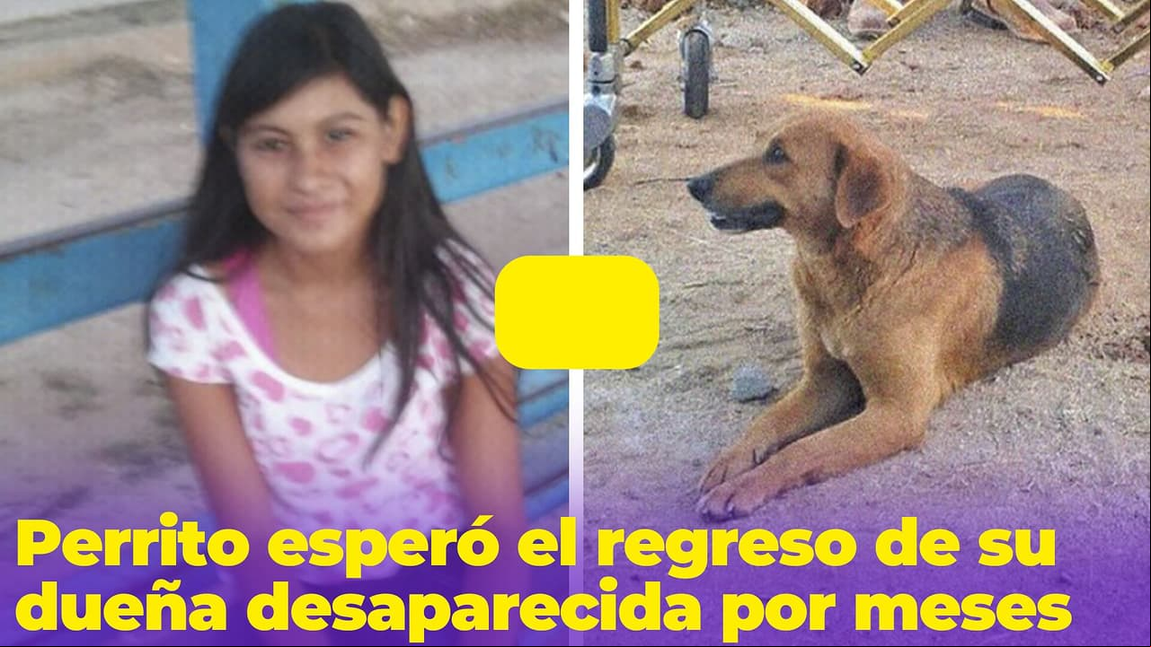 Perrito esperó el regreso de su dueña desaparecida por meses: así fue el reencuentro en el funeral