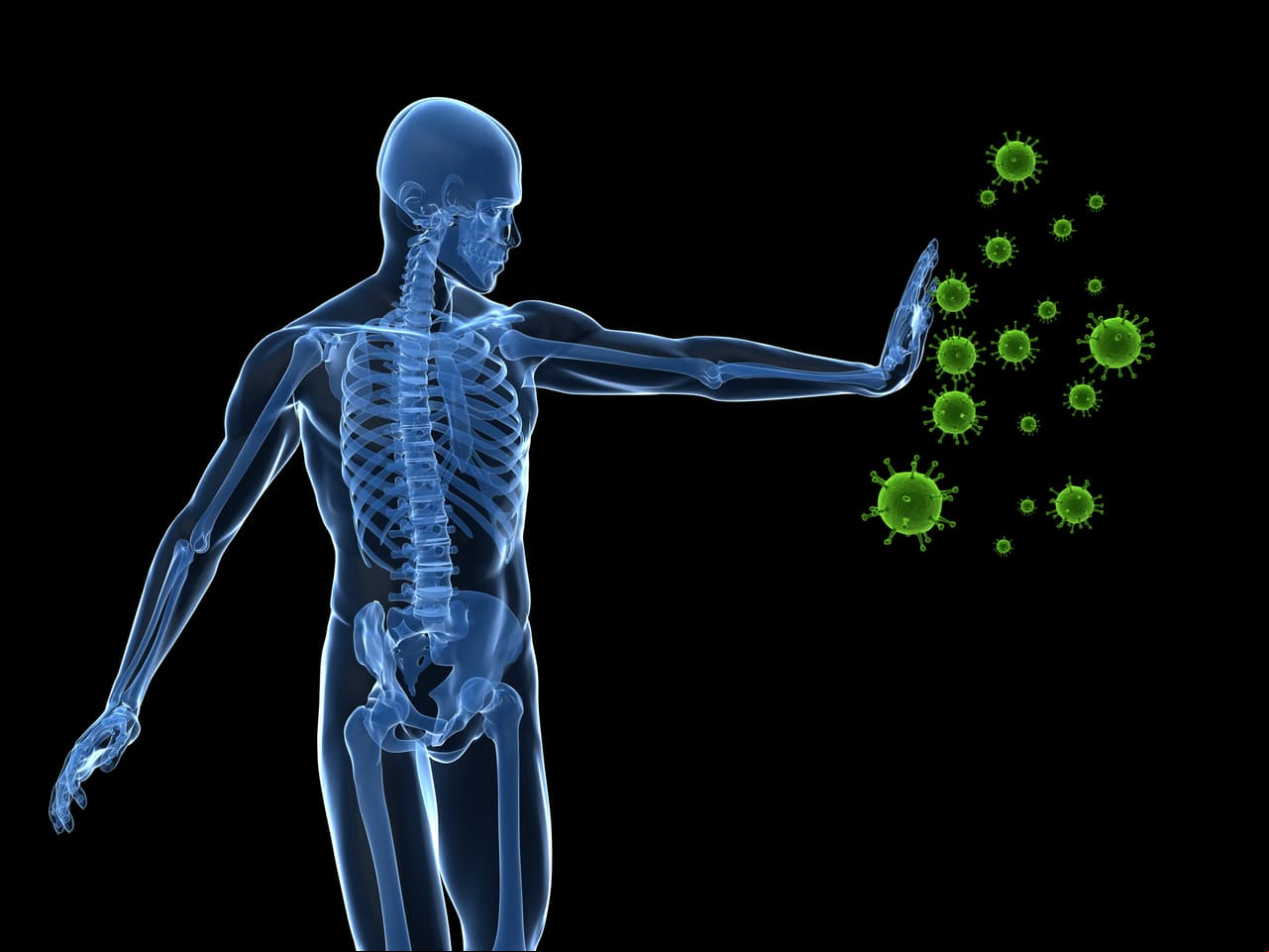 De acuerdo con investigadores de Harvard Medical School, la ausencia de zinc, hierro, cobre o selenio altera el sistema inmune, por ello se debe evitar consumir alimentos como: