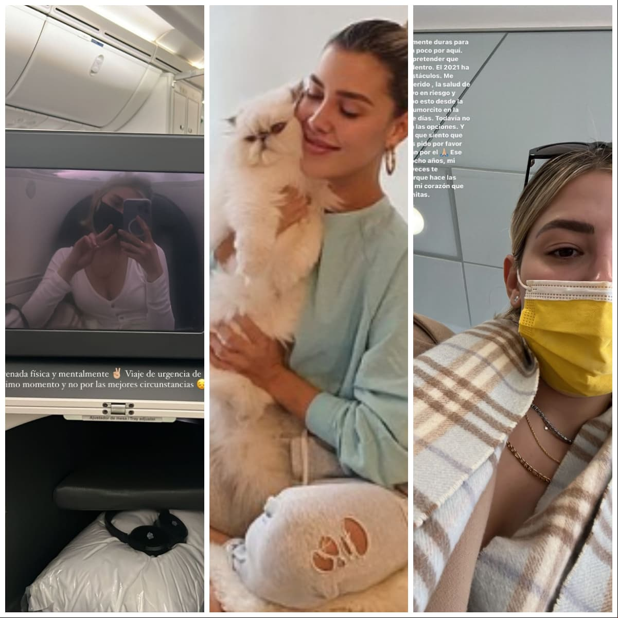 Michelle Salas está angustiada por su gatito Valentino