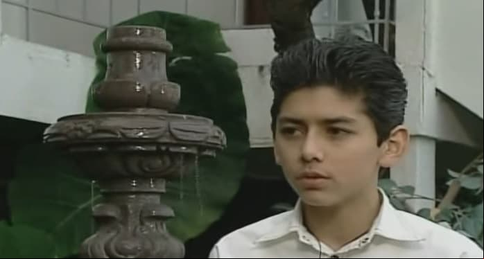 La primera telenovela que protagonizó fue ‘Alegrijes y Rebujos’ (2003) en la que dio vida a Alfonso Pascual 'Alcachofa'.