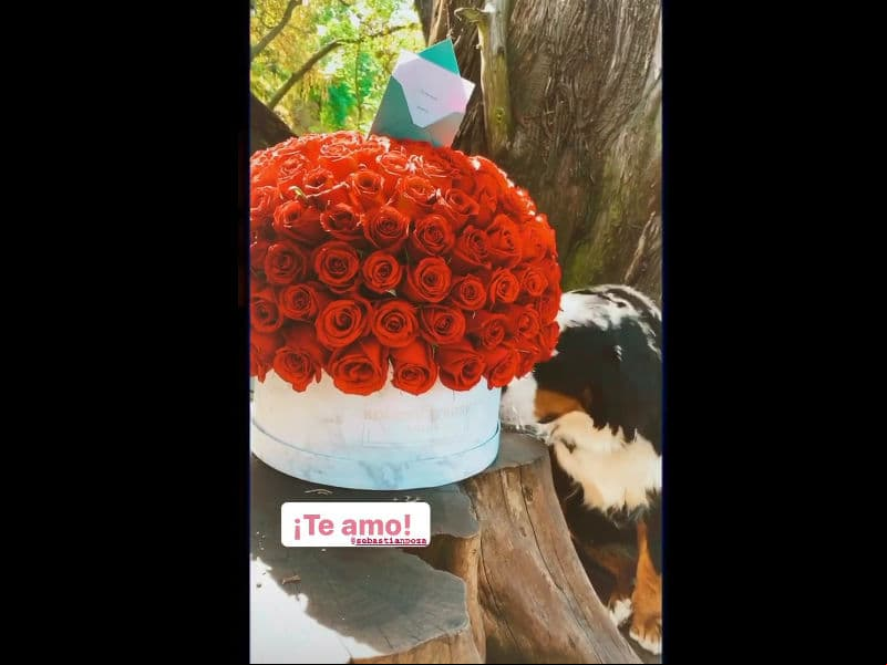 Azul respondió el tierno gesto de la misma forma y le puso ‘Te amo’, al mismo tiempo que mostró el enorme arreglo floral que Sebastián Poza le envió.