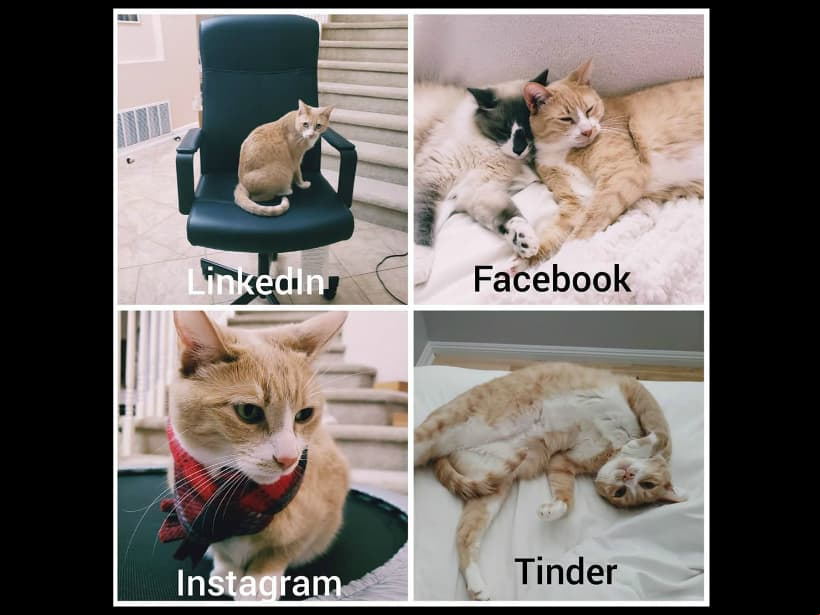De acuerdo con su posteo y algunos memes, cada imagen debía ir relacionada a la red social, es decir, la primera, una foto profesional; la segunda, una familiar; la tercera, una foto creativa y original; y la última, una para ligar. La imagen de inmediato fue replicada por algunos internautas y famosos, quienes se animaron a crear el famoso #DollyPartonChallenge.